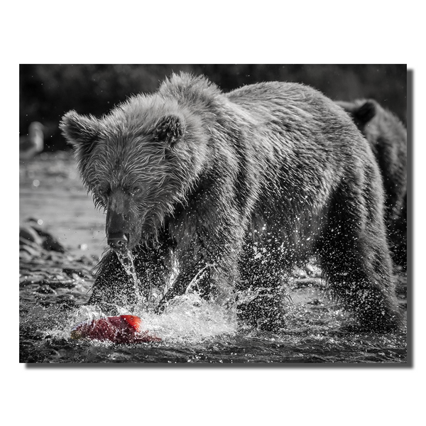 Running Bear Red Fish