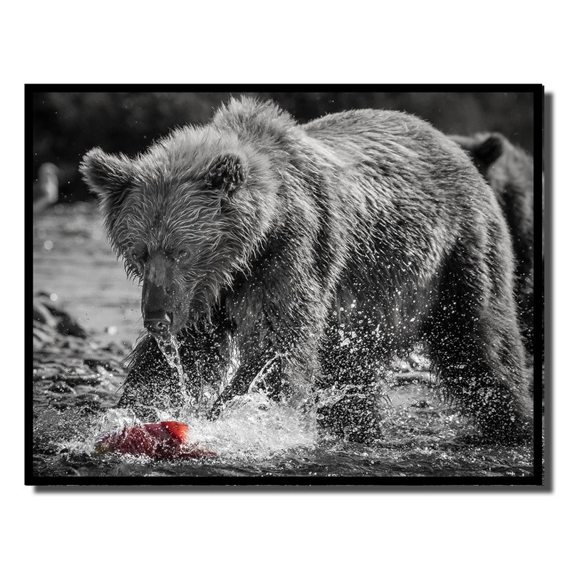 Running Bear Red Fish