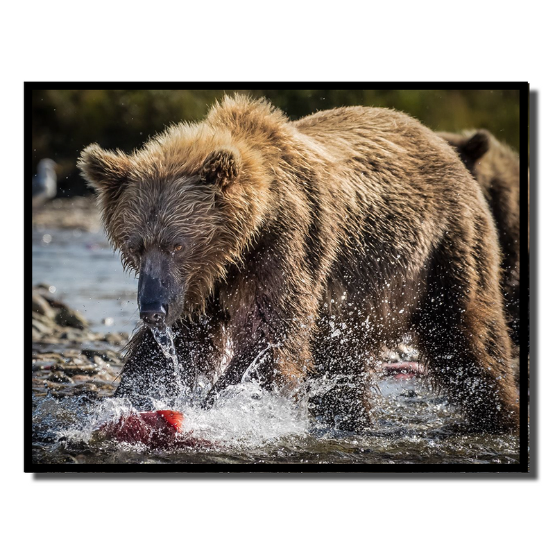 Running Bear Red Fish