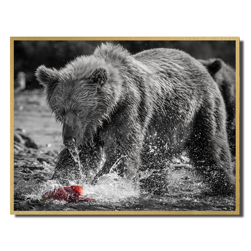 Running Bear Red Fish