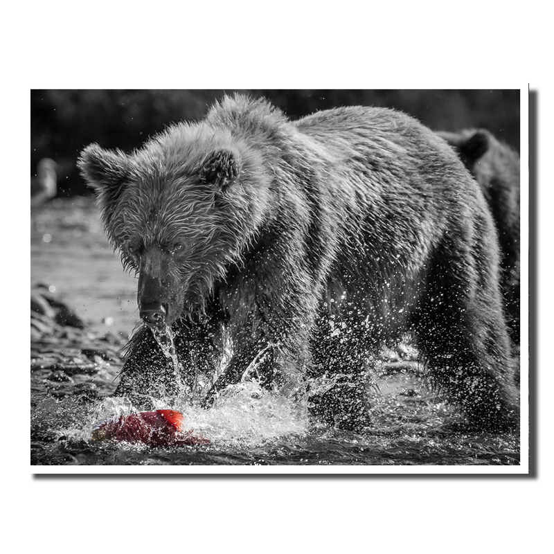 Running Bear Red Fish